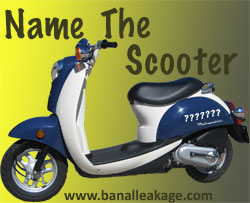 Name the Scooter - 250 pixel