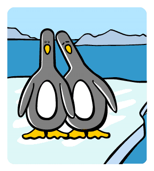 valentines penguins